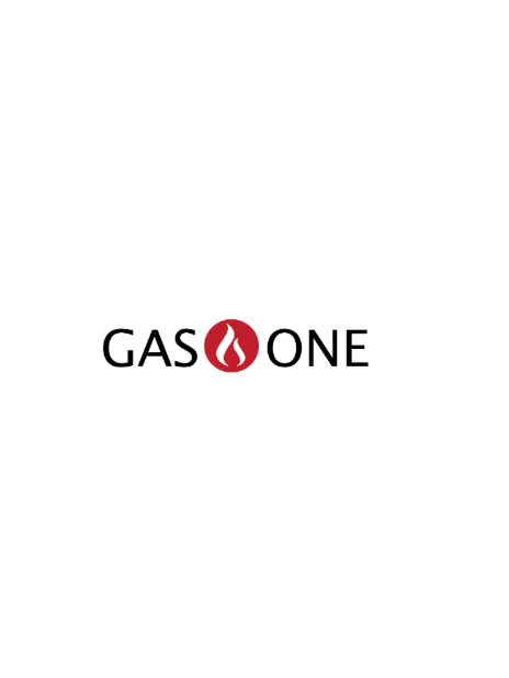 GasOne: Reliable Fuel and Outdoor Cooking Solutions